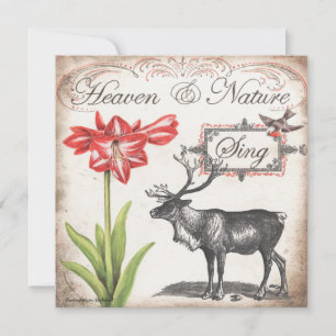 Schöne Weihnachtskarte mit Rentieren, Amaryllis un Feiertagskarte