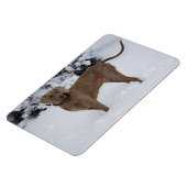 Schöne Weimaraner im Schnee Magnet (Linke Seite)
