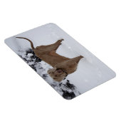 Schöne Weimaraner im Schnee Magnet (Rechte Seite)