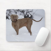 Schöne Weimaraner im Schnee Mousepad (Mit Mouse)