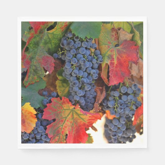 Schöne Weinkultur Herbst Weinberg Serviette (Vorderseite)
