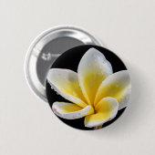 Schöne weiß-gelbe Plumeria-Blume Button (Vorne & Hinten)