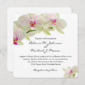 Schöne Weiß-und Pink-Orchideen Einladung (Vorne/Hinten)