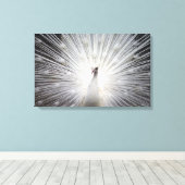 Schöne weiße Albino Taumel Leinwanddruck (Insitu (Holzboden))