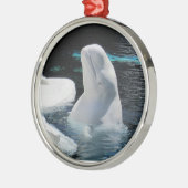 Schöne Weiße Beluga Whale Silbernes Ornament (Links)