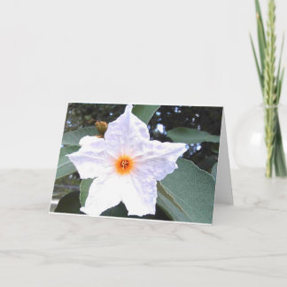 Schöne weiße Blume Blank Grußkarte Karte