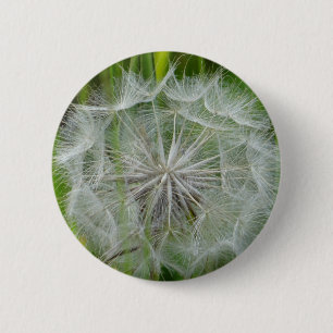 Schöne weiße Blume Button