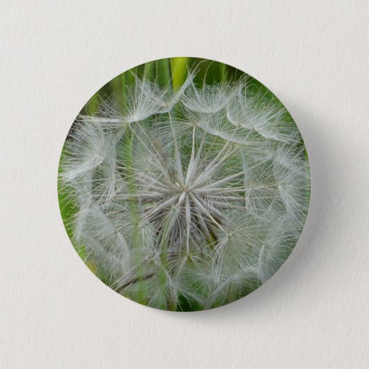 Schöne weiße Blume Button (Vorderseite)