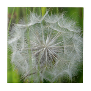 Schöne weiße Blume Fliese