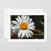 Schöne weiße Blume Gaumenfreuden Feiertagspostkarte (Vorne/Hinten)