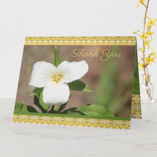 Schöne weiße Blume Karte (Gelbe Blume)