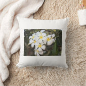 Schöne weiße Blume, Plumeria, Kissen (Decke)