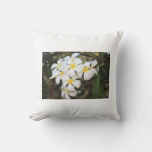 Schöne weiße Blume, Plumeria, Kissen