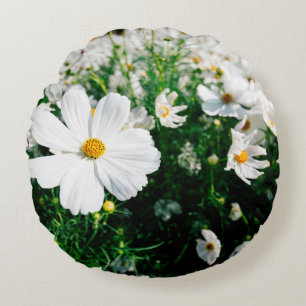 Schöne weiße Cosmos-Blumen blühen in Gardena Rundes Kissen
