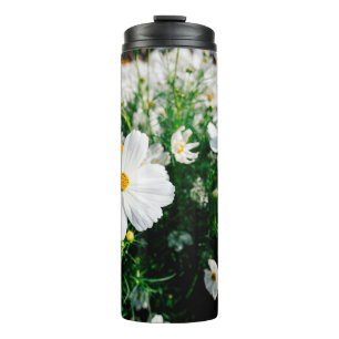 Schöne weiße Cosmos-Blumen blühen in Gardena Thermosbecher