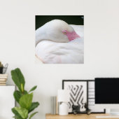 Schöne weiße Flamingo Poster (Heimbüro)
