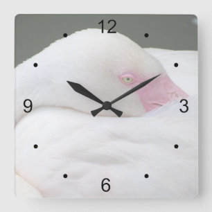 Schöne weiße Flamingo Quadratische Wanduhr