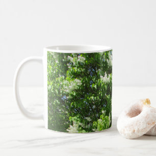 Schöne weiße Fliederblumen Kaffeetasse