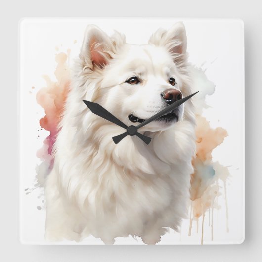 SCHÖNE WEISSE FLÜFFE SAMOYED HUND QUADRATISCHE WANDUHR (Vorderseite)
