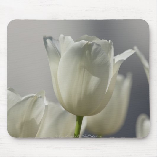 Schöne weiße Frühlings-Tulpen Mousepad (Vorne)