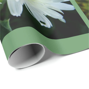 schöne weiße Gänseblümchen-Blumen Geburtstag, Weih Geschenkpapier