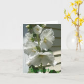 Schöne weiße Hollyhocks, Beileid Karte (Gelbe Blume)