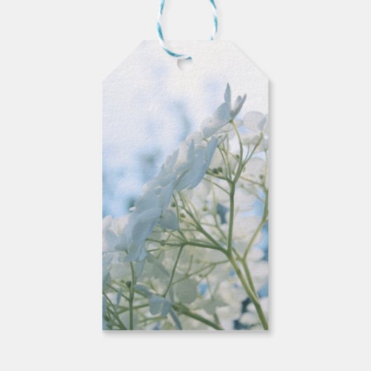 Schöne weiße Hydrangea Blooms Highkey Geschenkanhänger (Rückseite)