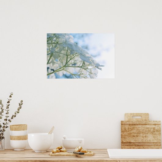 Schöne weiße Hydrangea Blooms Highkey Poster (Küche)