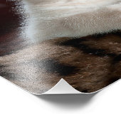 Schöne weiße Kätzchen mit blauen Augen und rosa Na Fotodruck (Ecke)