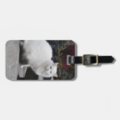 Schöne weiße Katze auf einem Grab Gepäckanhänger (Vorderseite horizontal)