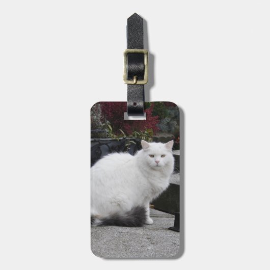 Schöne weiße Katze auf einem Grab Gepäckanhänger (Vorderseite vertikal)