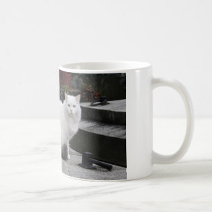 Schöne weiße Katze auf einem Grab Kaffeetasse