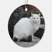 Schöne weiße Katze auf einem Grab Keramikornament (Links)