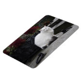 Schöne weiße Katze auf einem Grab Magnet (Linke Seite)