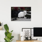Schöne weiße Katze auf einem Grab Poster (Heimbüro)
