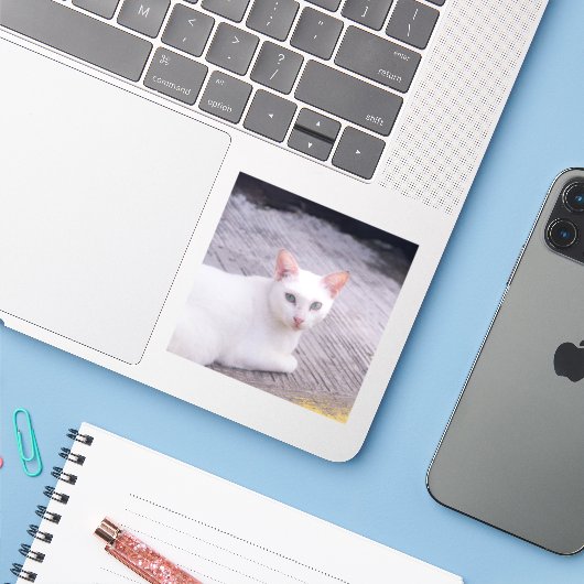 Schöne weiße Katze Aufkleber (Laptop mit iPhone)