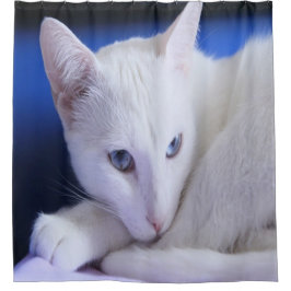 Schöne weiße Katze/Foto des Haustiers hinzufügen Duschvorhang