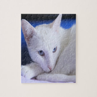 Schöne weiße Katze/Foto des Haustiers hinzufügen Puzzle