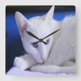 Schöne weiße Katze/Foto des Haustiers hinzufügen Quadratische Wanduhr