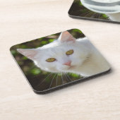 Schöne weiße Katze Getränkeuntersetzer (Linke Seite)