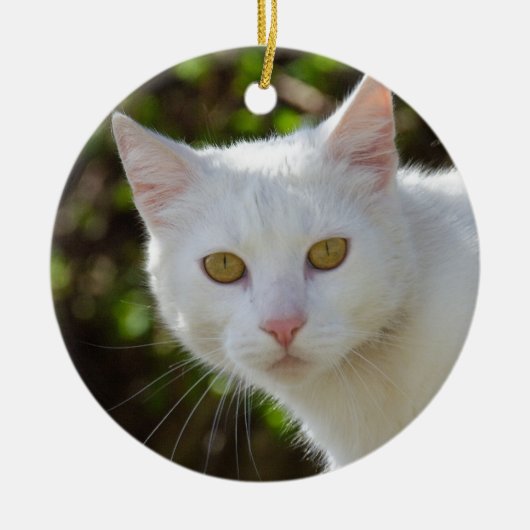 Schöne weiße Katze Keramikornament (Vorne)
