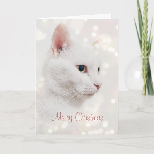 Schöne weiße Katze mit Weihnachtslicht Urlaub Karte (Vorderseite)