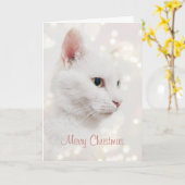 Schöne weiße Katze mit Weihnachtslicht Urlaub Karte (Gelbe Blume)