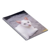 Schöne weiße Katze Notizblock (Rechte Seite)