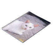 Schöne weiße Katze Notizblock (Linke Seite)