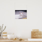 Schöne weiße Katze Poster (Küche)