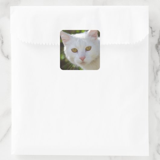 Schöne weiße Katze Quadratischer Aufkleber (Tasche)