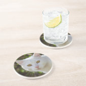 Schöne weiße Katze Untersetzer (Seite)