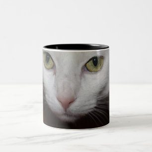 Schöne weiße Katze Zweifarbige Tasse