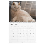 Schöne weiße Katzen 2021 Kalender (Mär 2026)